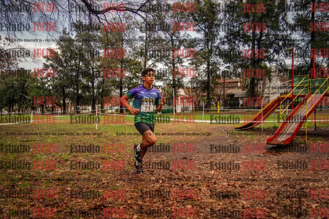 Fotos en el circuito