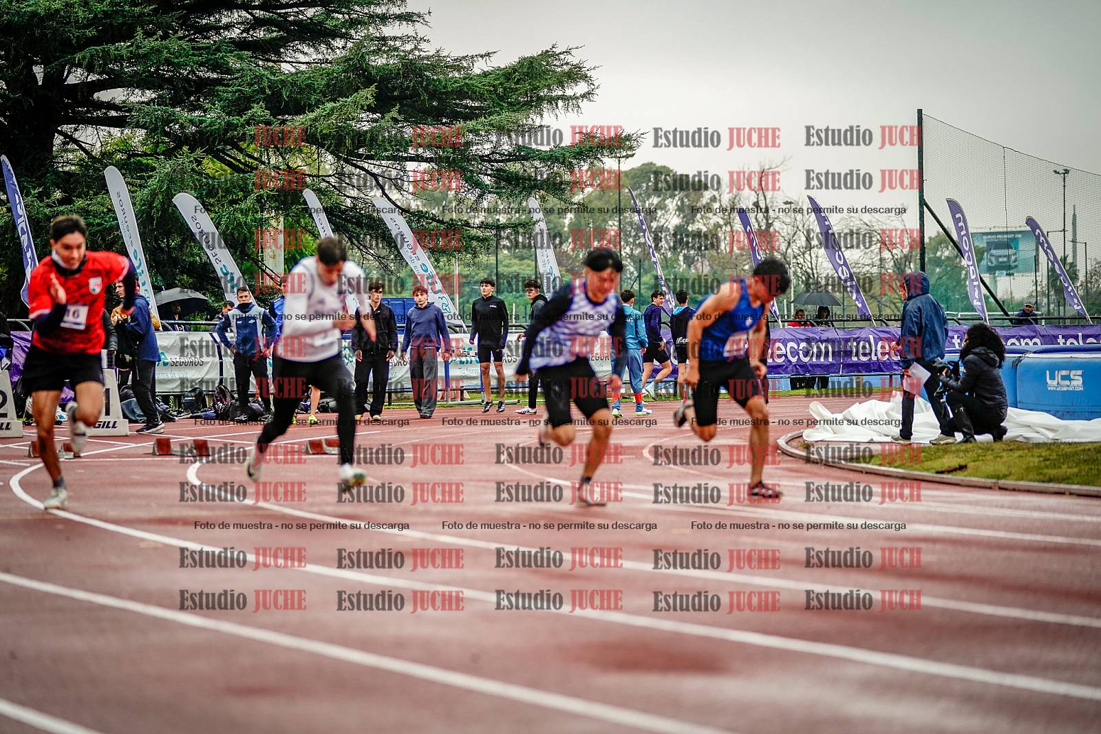Fotos de los 100 m llanos de varones