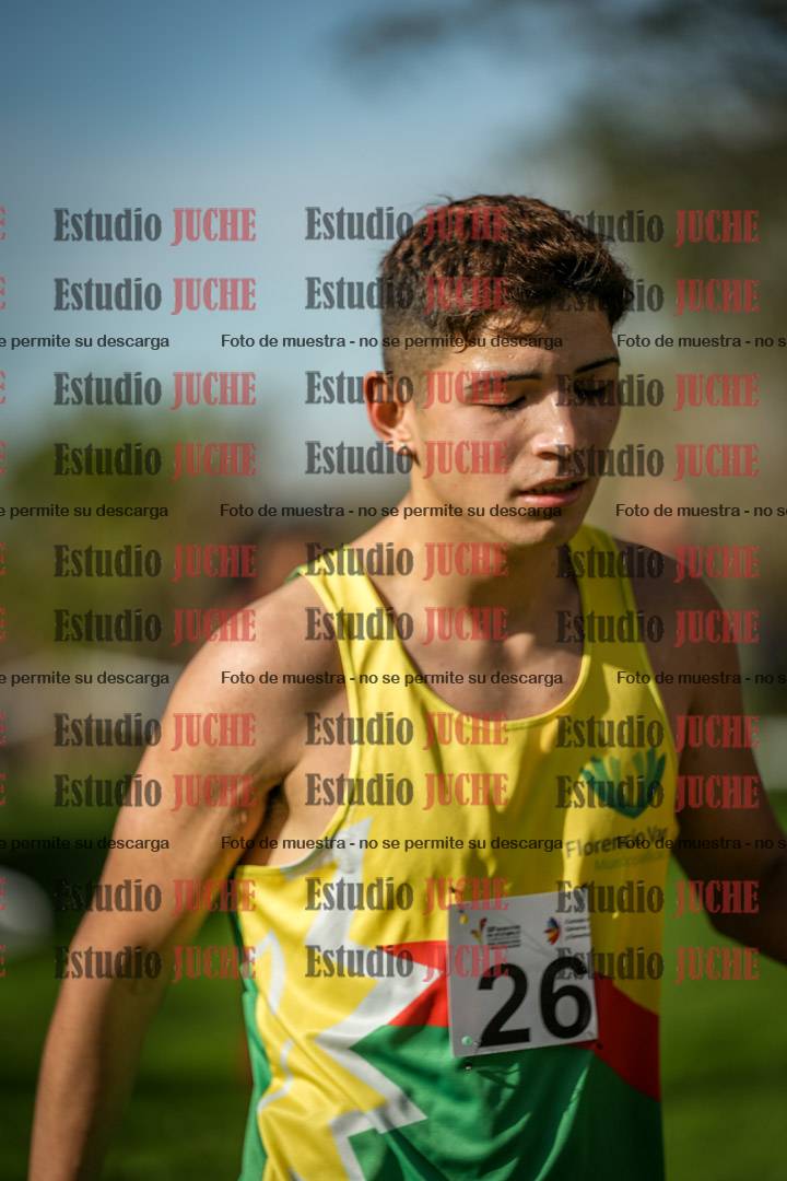Fotos de la llegada del cross de 6000 m