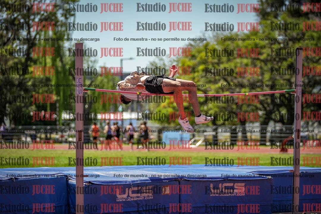 Fotos del salto en alto de varones