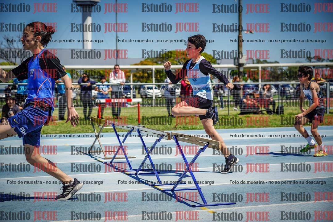 Fotos de los 60 m con vallas de varones