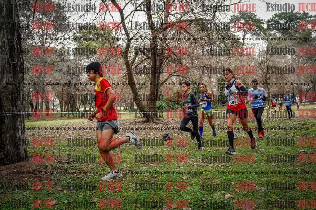 Fotos en el circuito