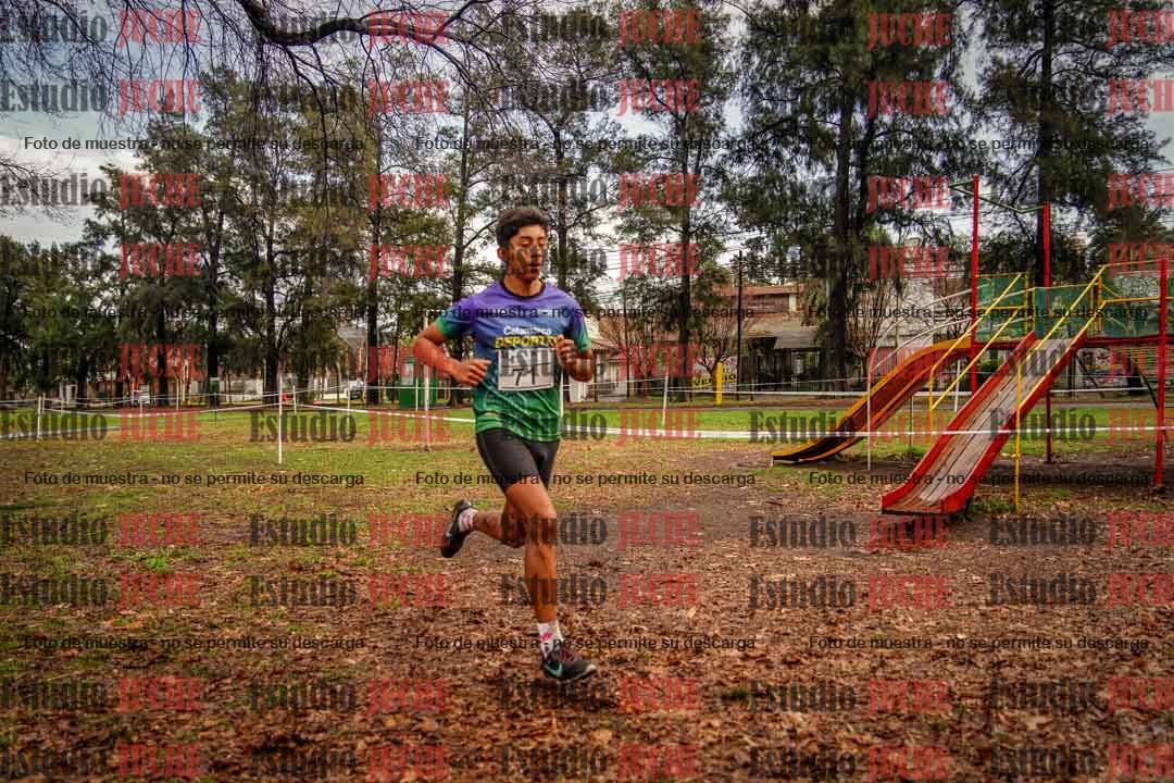 Fotos en el circuito
