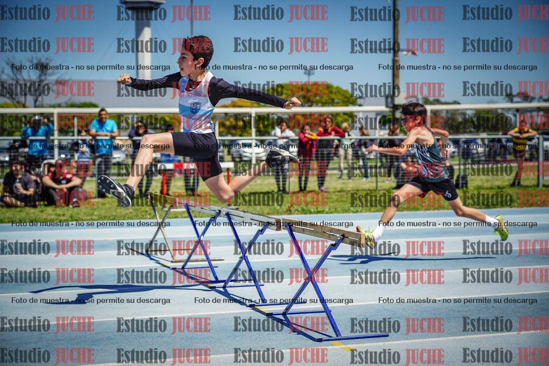 Fotos de los 60 m con vallas de varones