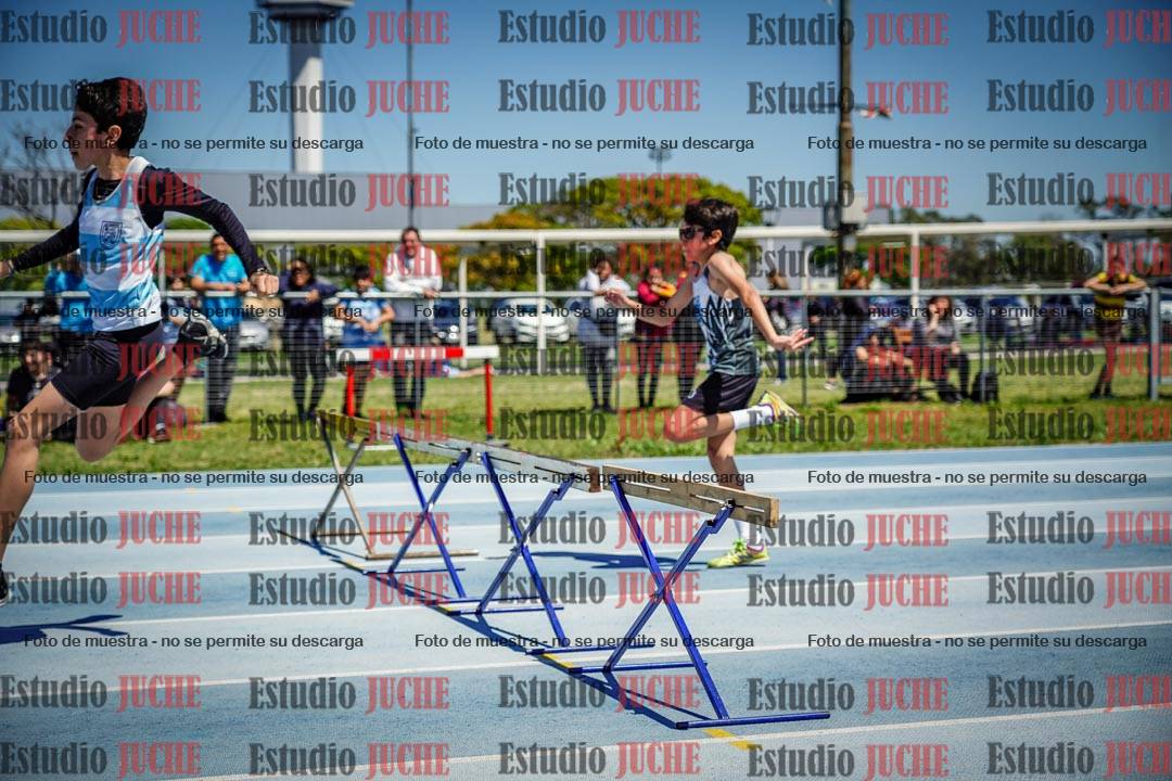 Fotos de los 60 m con vallas de varones