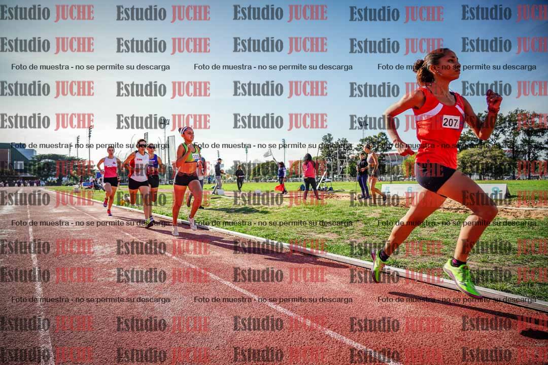 Fotos de los 800 m llanos de mujeres