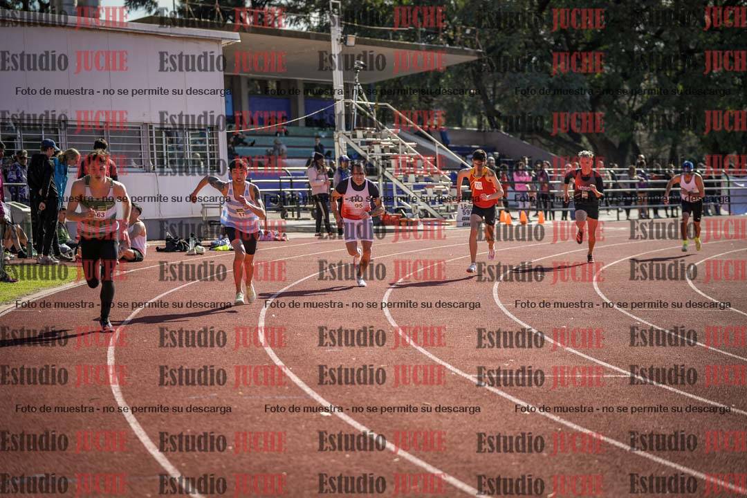 Fotos de los 800 m llanos de varones