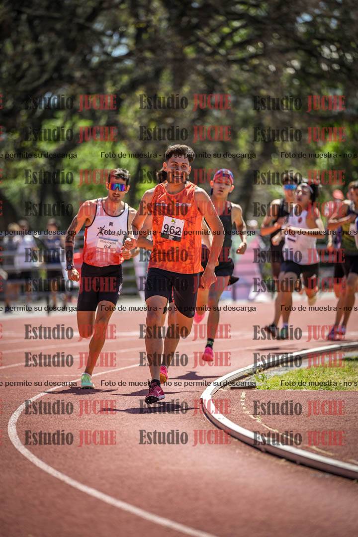 Fotos de los 800 m llanos de varones