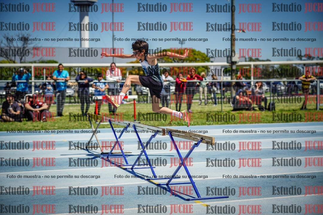 Fotos de los 60 m con vallas de varones