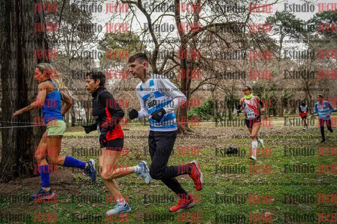 Fotos en el circuito
