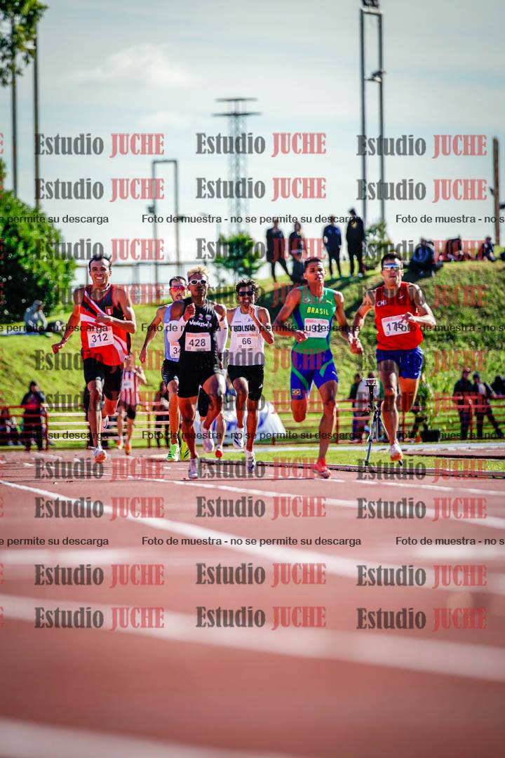 Fotos de los 800 m llanos de varones