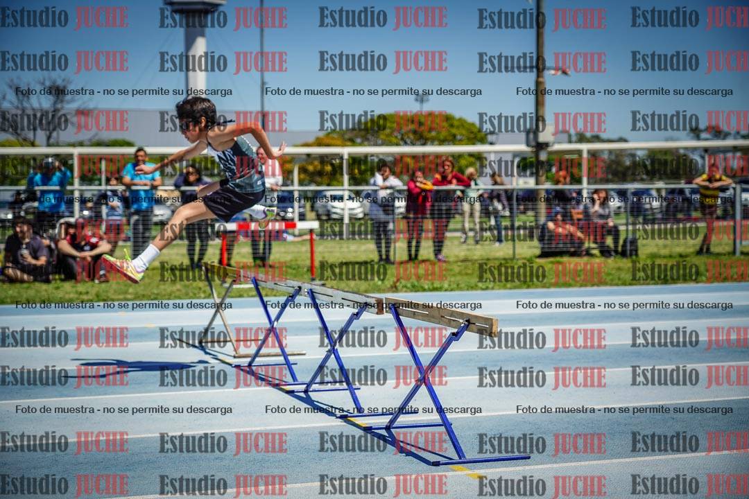 Fotos de los 60 m con vallas de varones