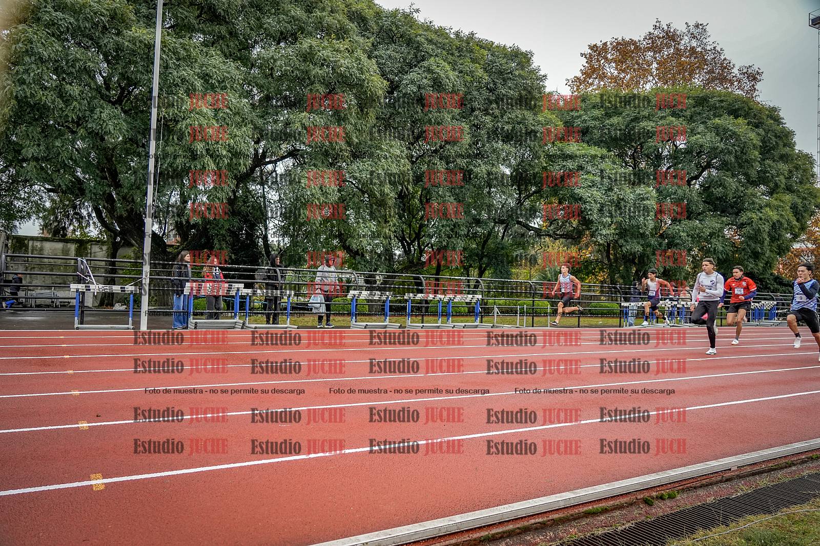 Fotos de los 100 m llanos de varones