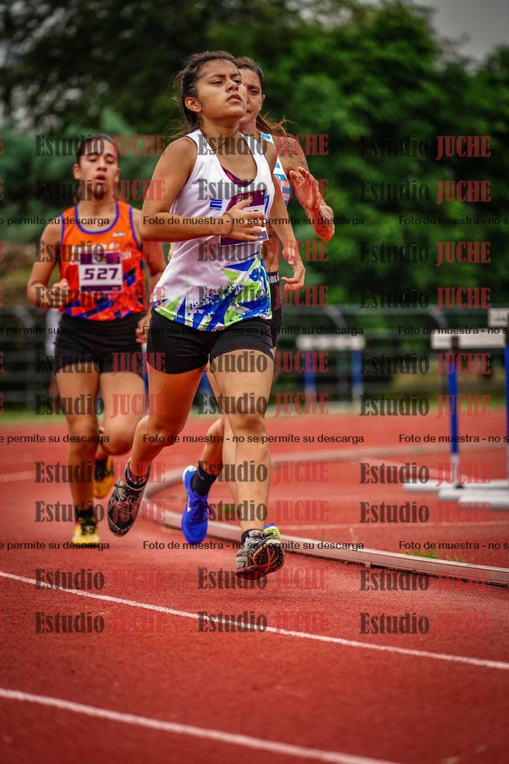 Fotos de los 800 m llanos de mujeres