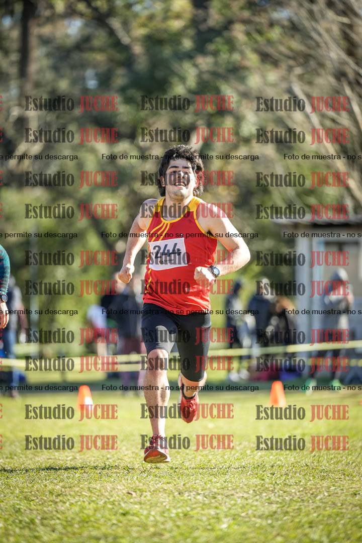 Fotos de la llegada del cross de 6000 m