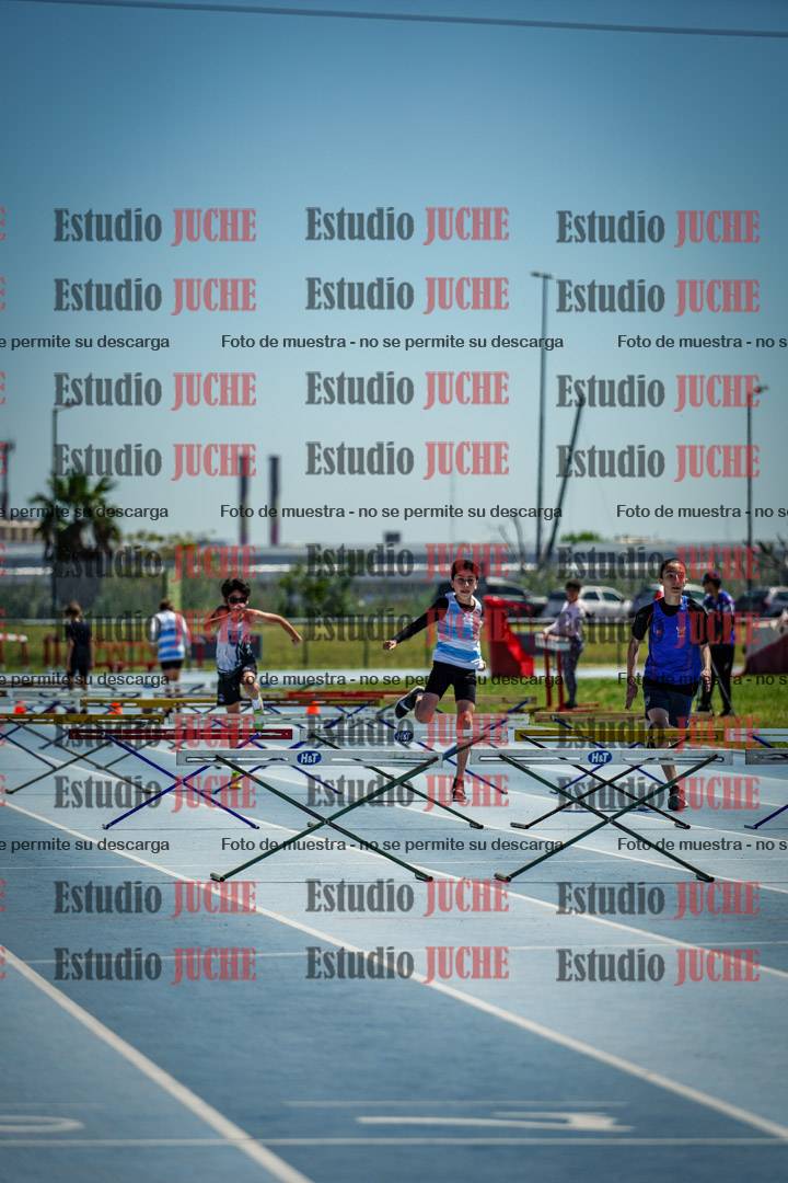 Fotos de los 60 m con vallas de varones