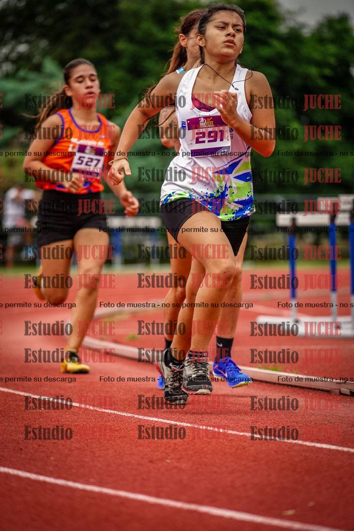 Fotos de los 800 m llanos de mujeres