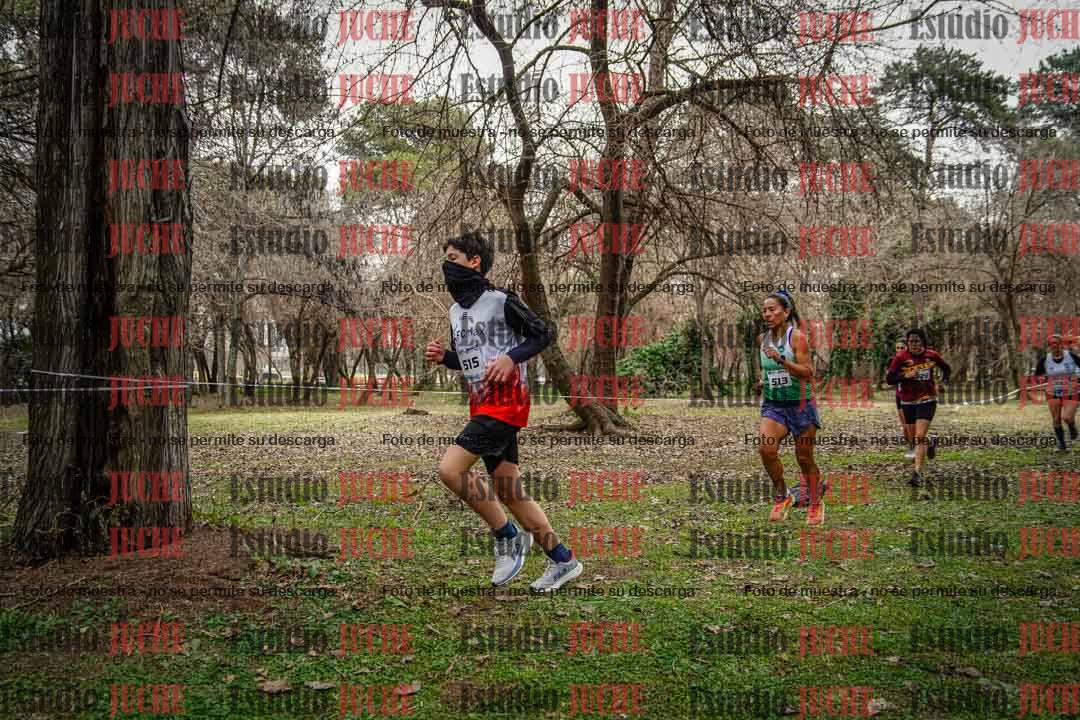 Fotos en el circuito