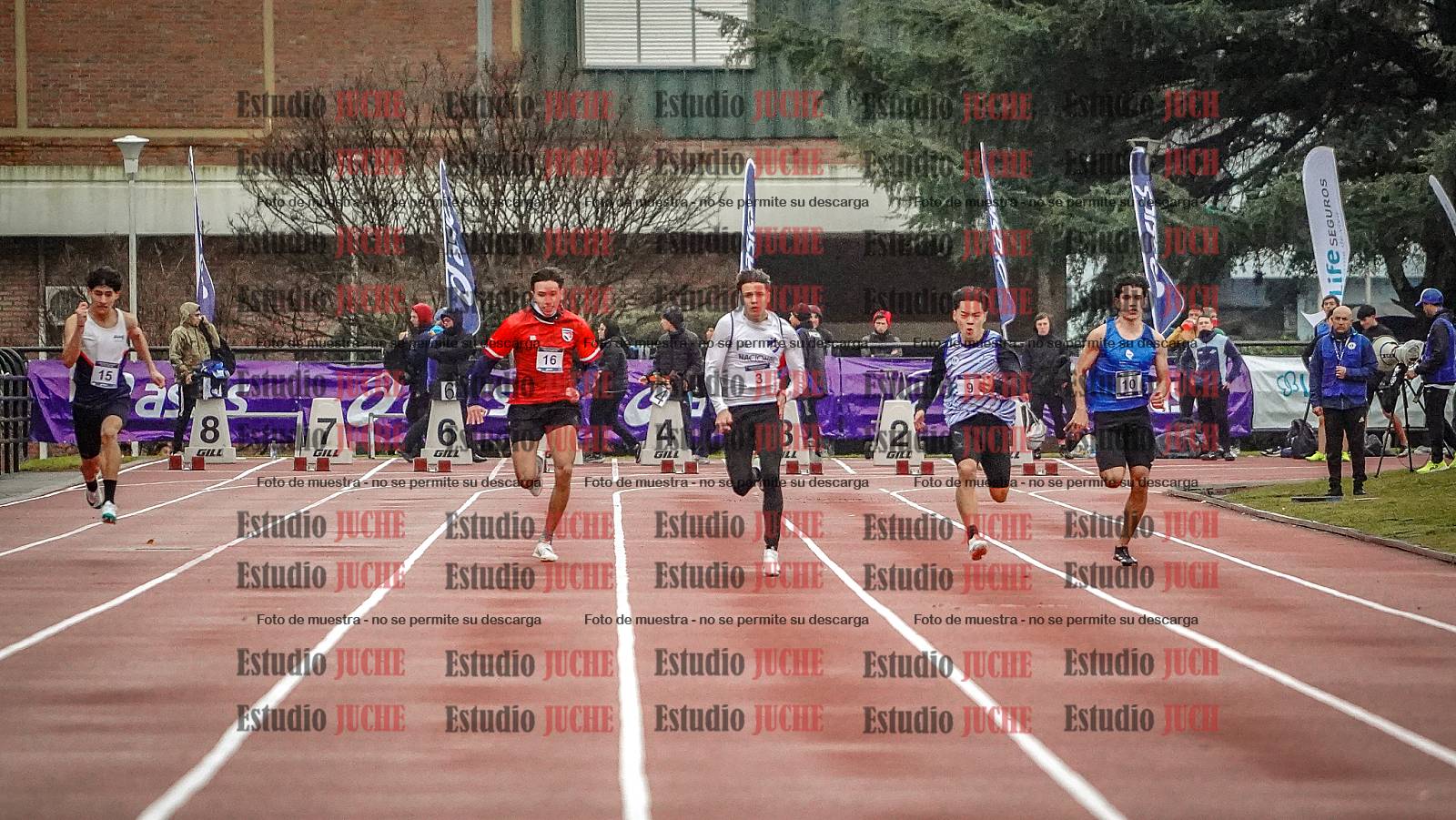 Fotos de los 100 m llanos de varones