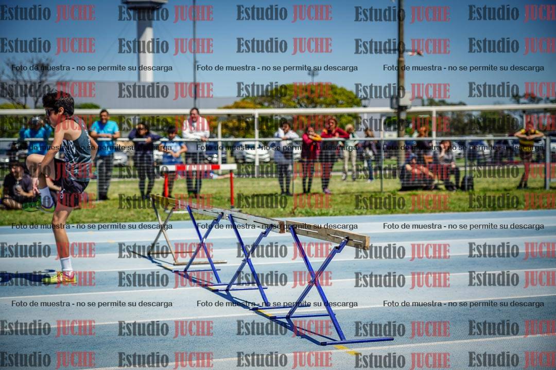 Fotos de los 60 m con vallas de varones