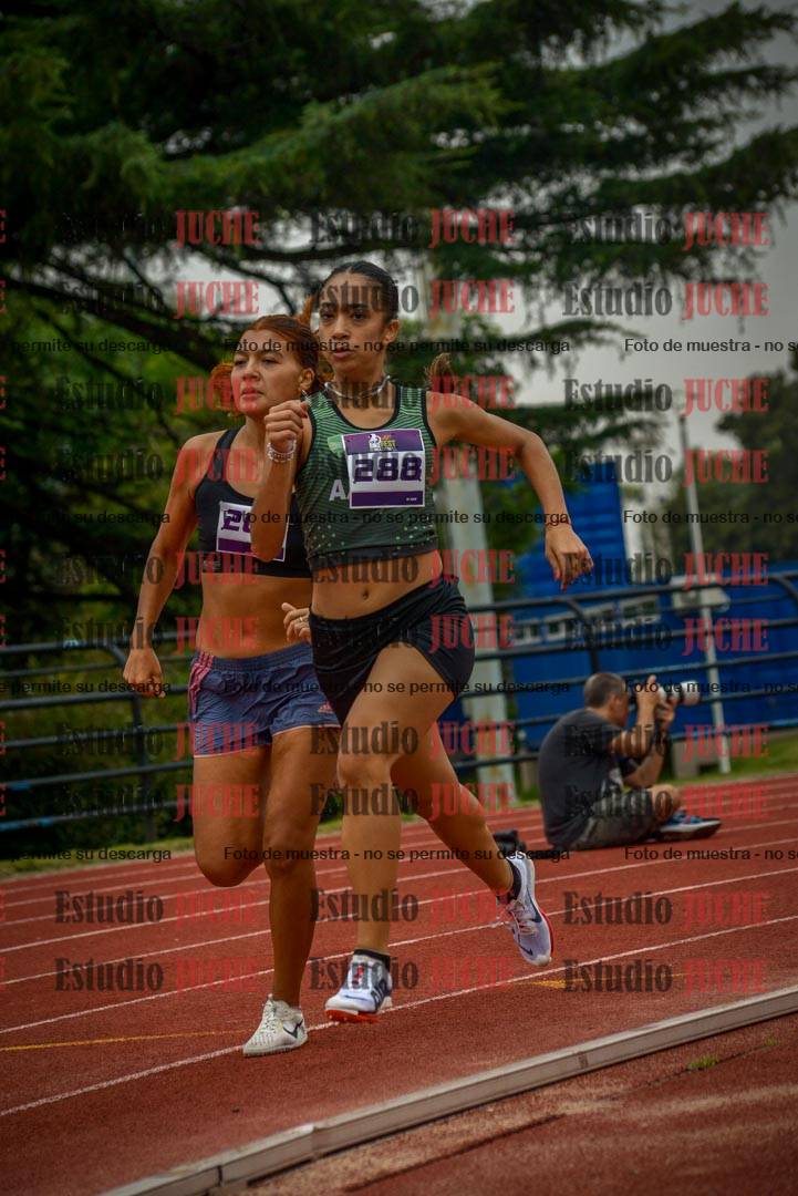 Fotos de los 800 m llanos de mujeres