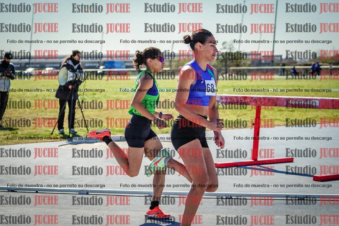 Fotos de los 800 m llanos de mujeres