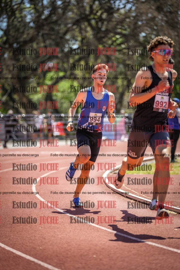 Fotos de los 800 m llanos de varones