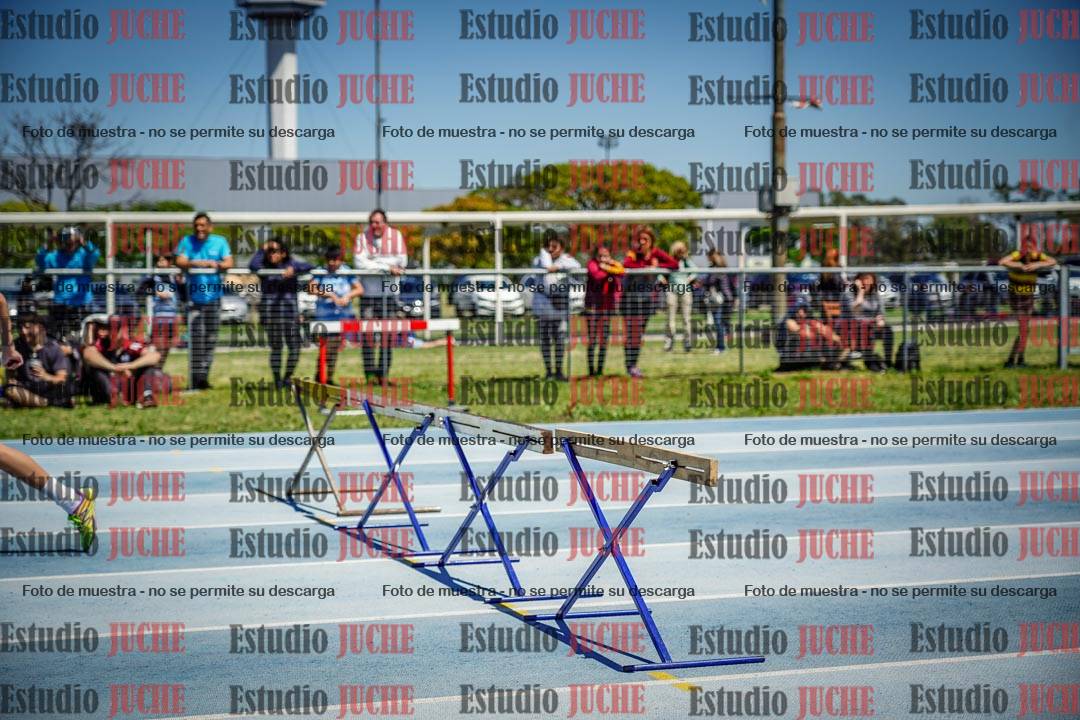 Fotos de los 60 m con vallas de varones