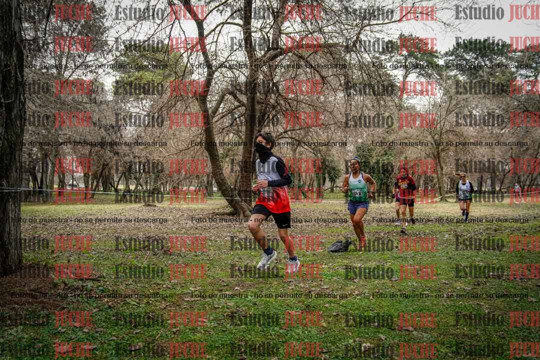 Fotos en el circuito