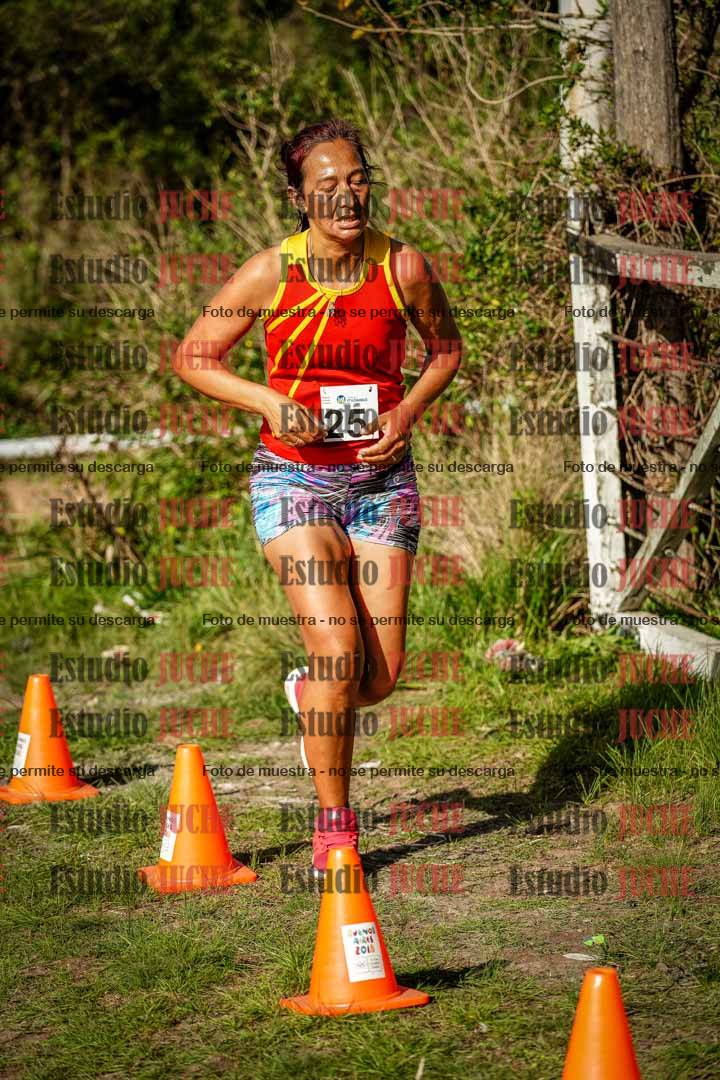 Fotos en el circuito