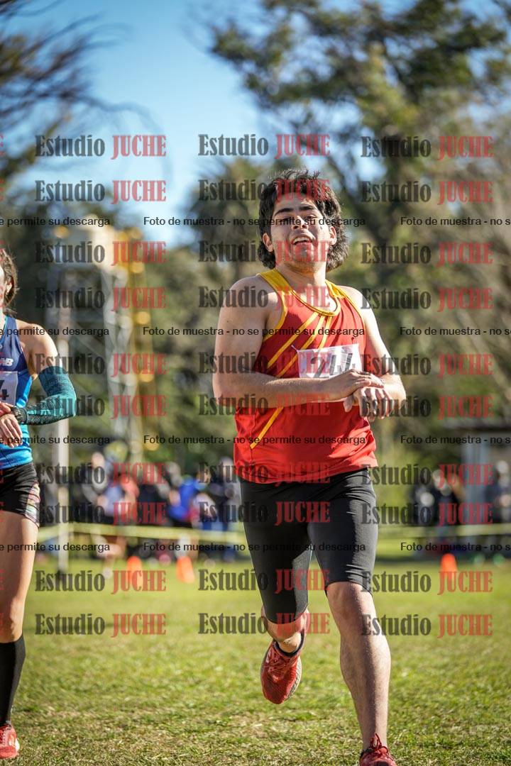 Fotos de la llegada del cross de 6000 m