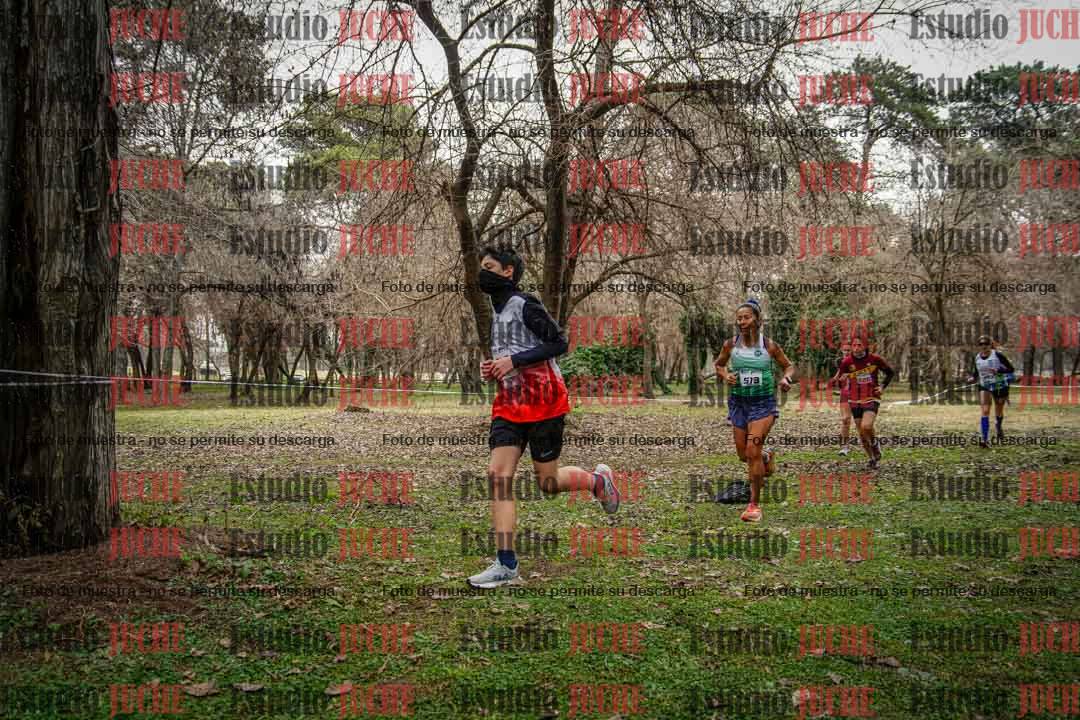 Fotos en el circuito