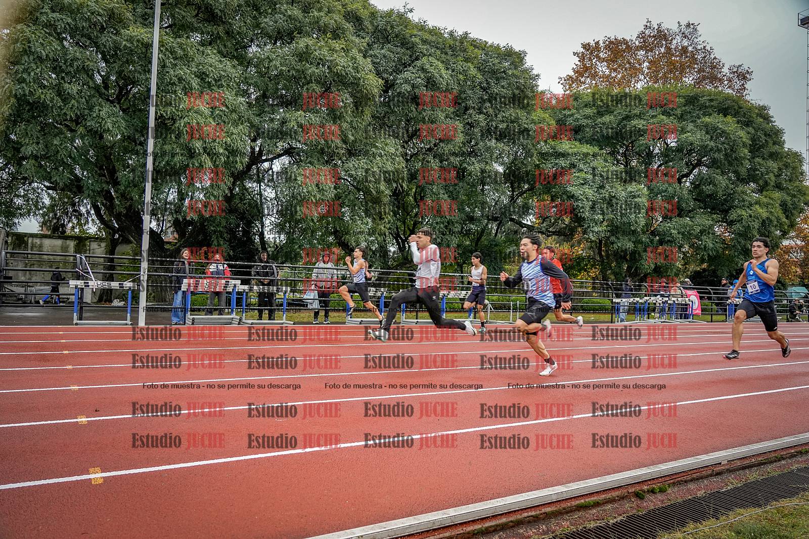 Fotos de los 100 m llanos de varones