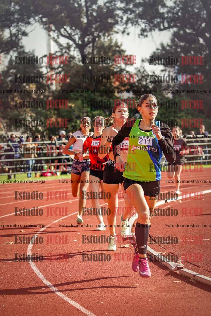 Fotos de los 800 m llanos de mujeres
