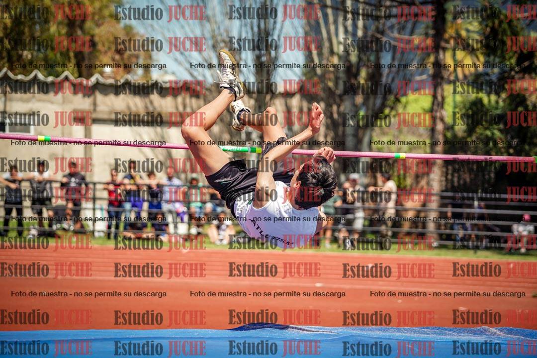 Fotos del salto en alto de varones