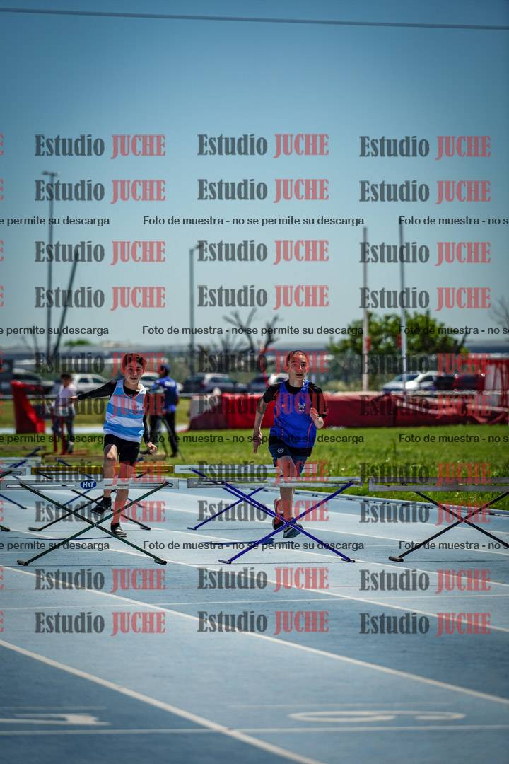 Fotos de los 60 m con vallas de varones