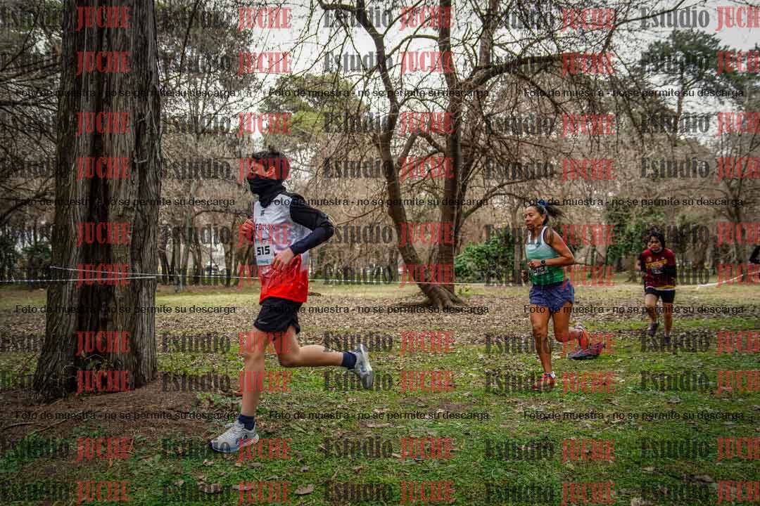 Fotos en el circuito