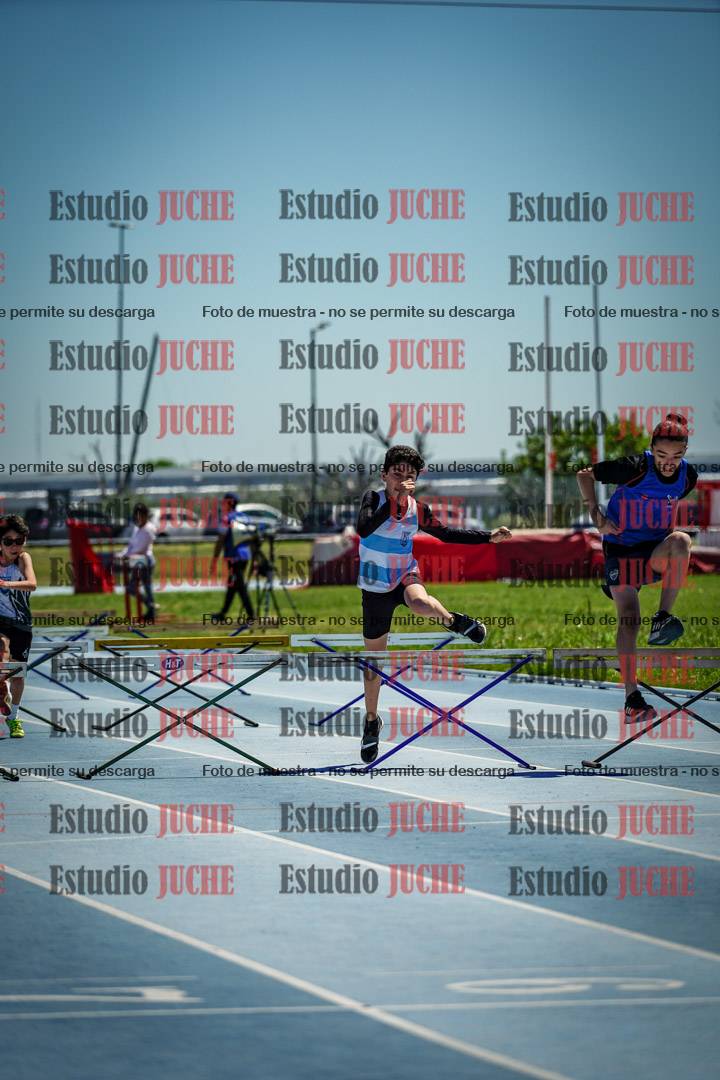 Fotos de los 60 m con vallas de varones