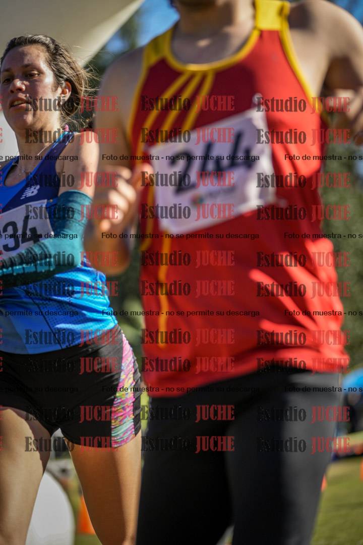 Fotos de la llegada del cross de 6000 m
