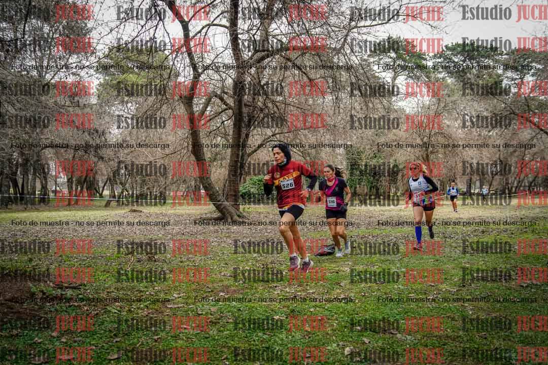 Fotos en el circuito