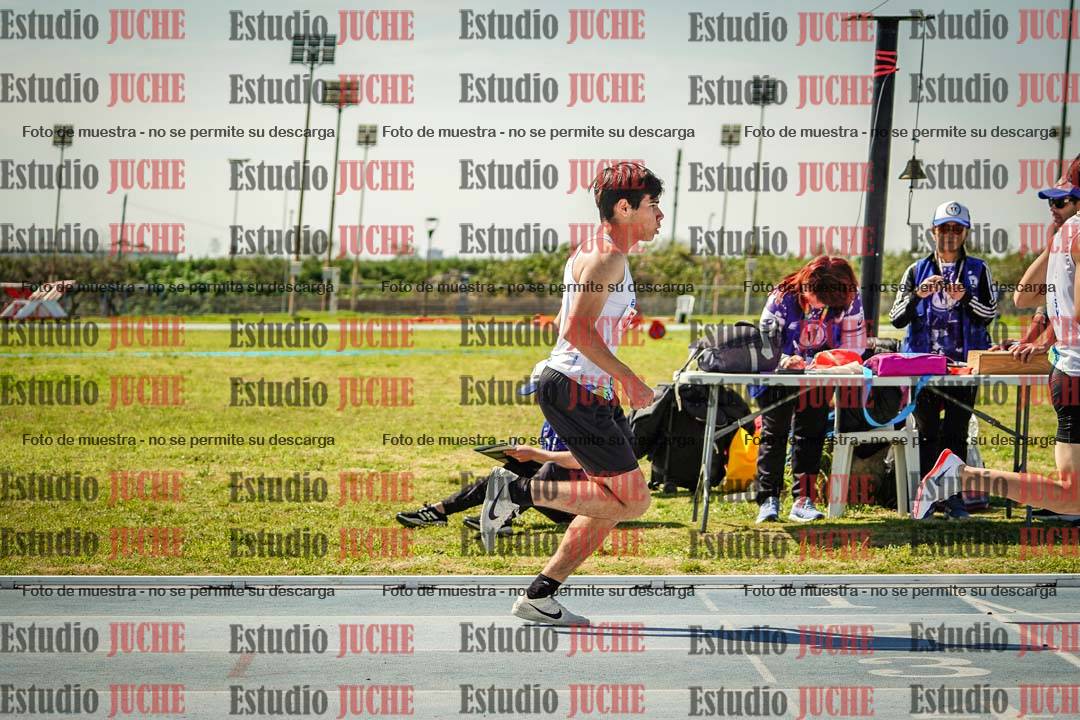 Fotos de los 800 m llanos de varones