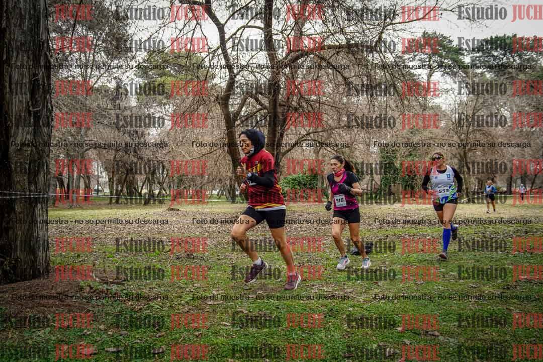 Fotos en el circuito