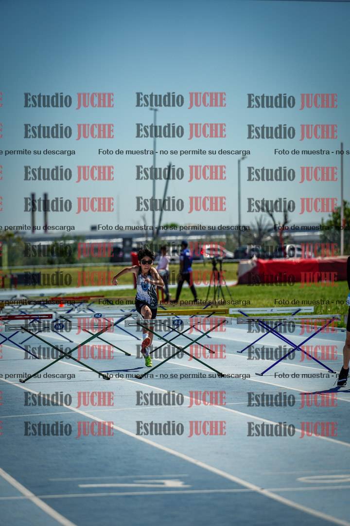 Fotos de los 60 m con vallas de varones