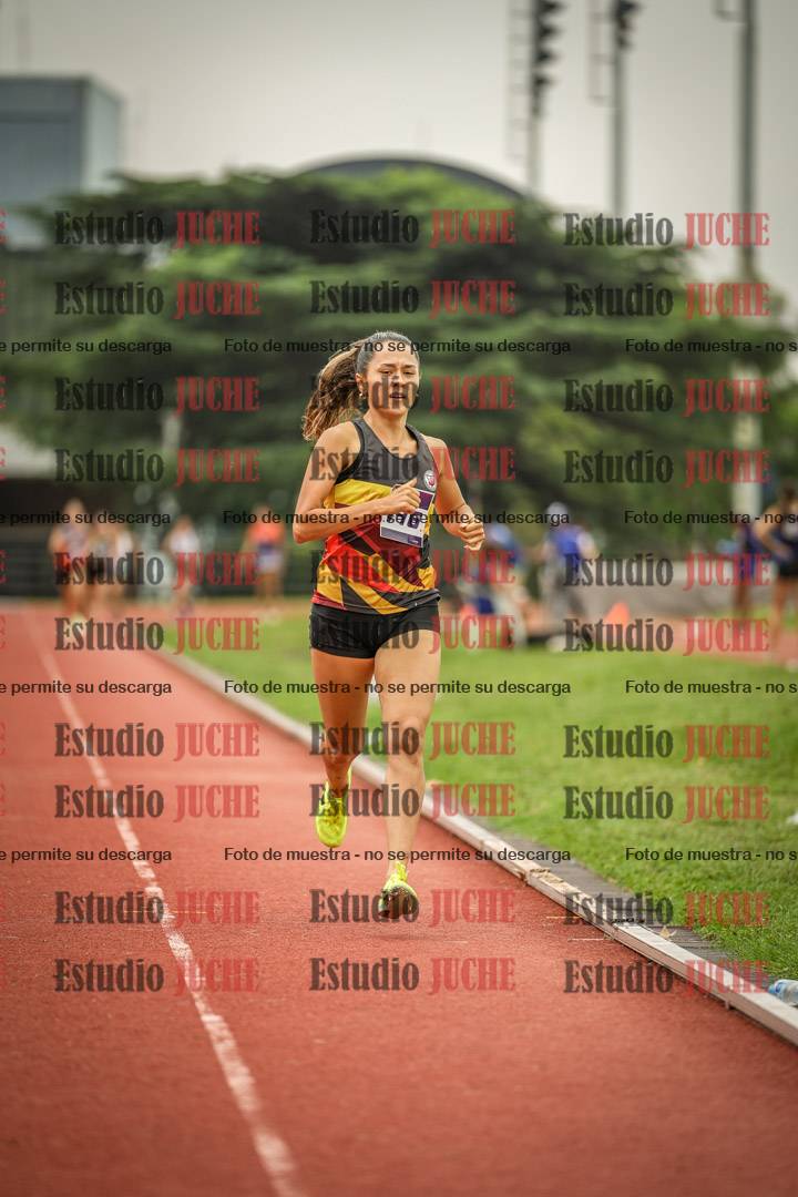 Fotos de los 800 m llanos de mujeres
