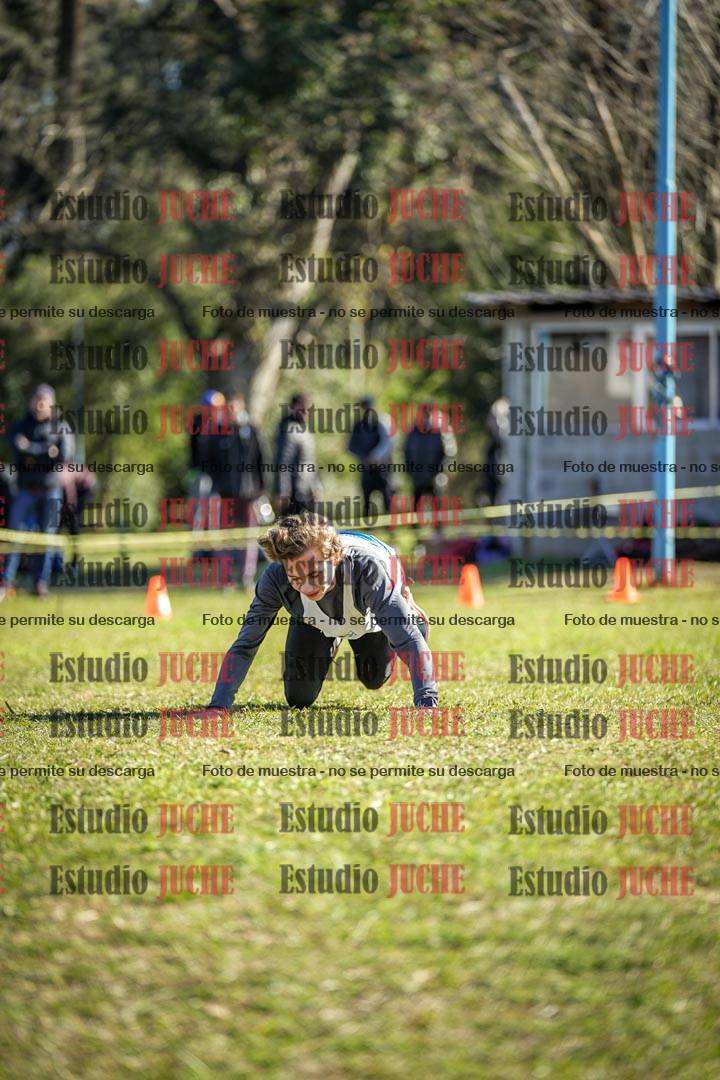 Fotos de la llegada del cross de 6000 m
