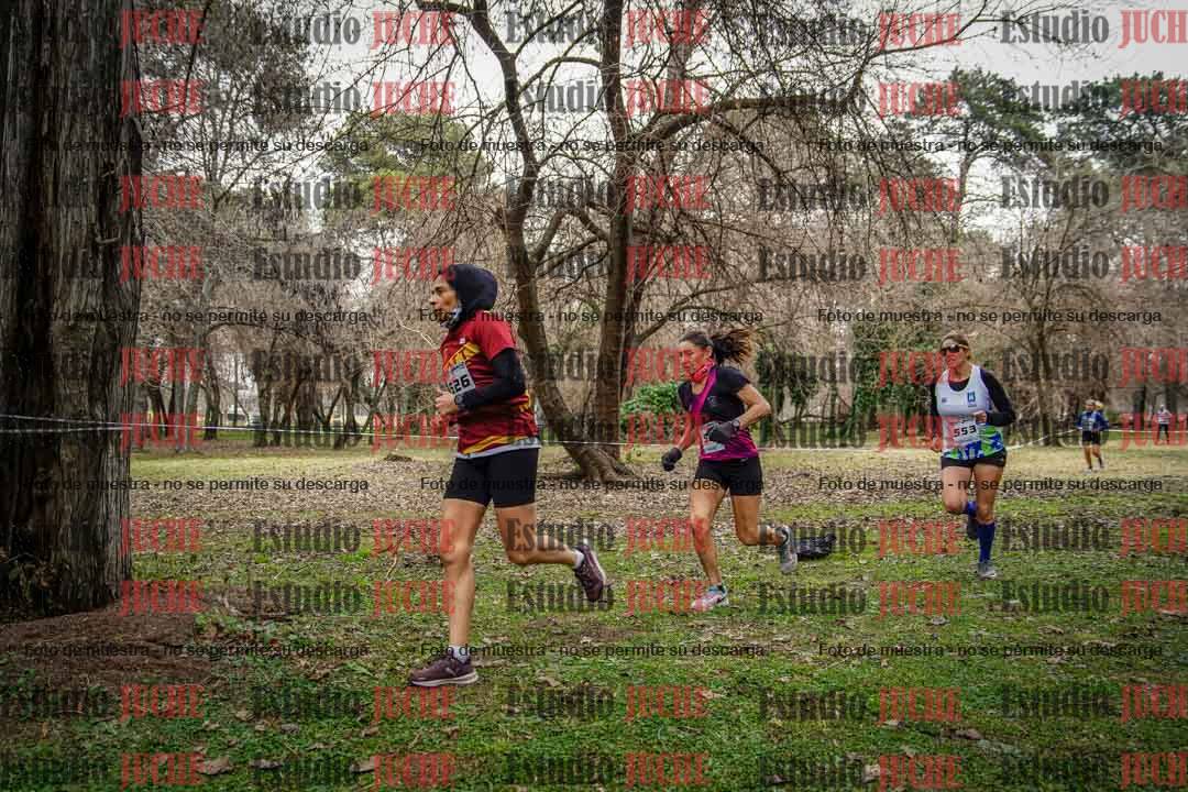 Fotos en el circuito