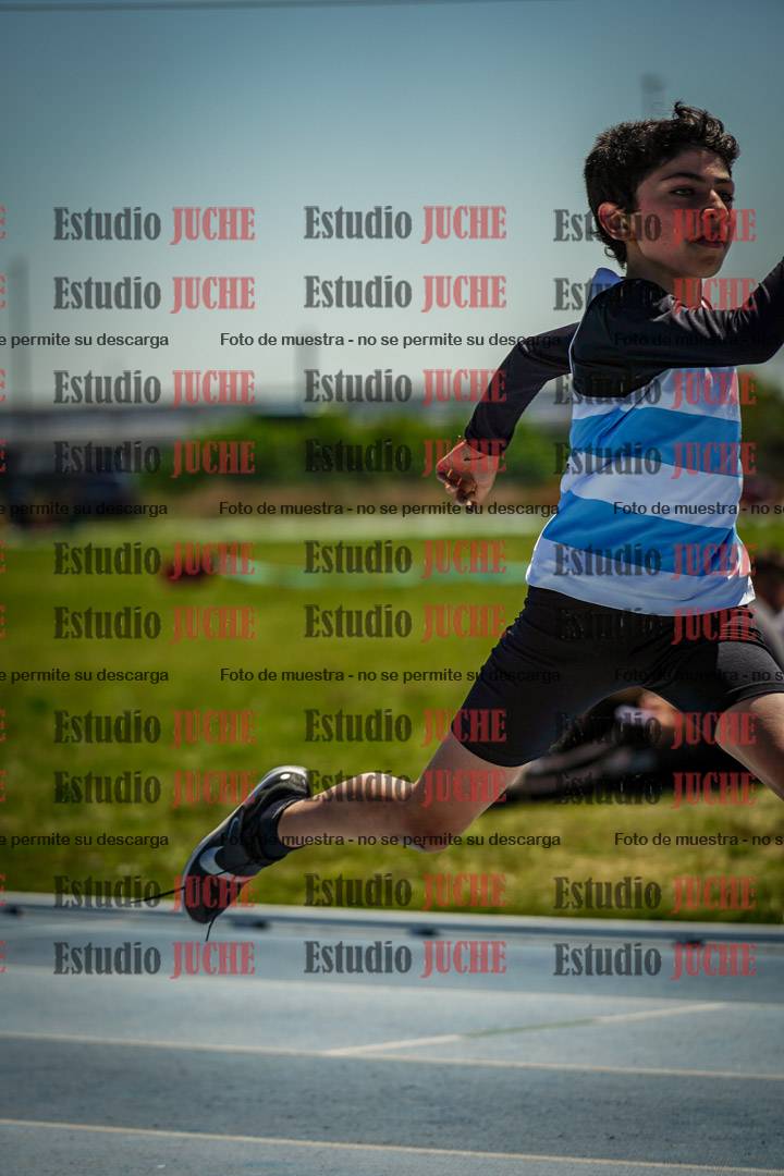 Fotos de los 60 m con vallas de varones