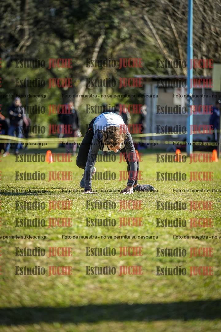 Fotos de la llegada del cross de 6000 m