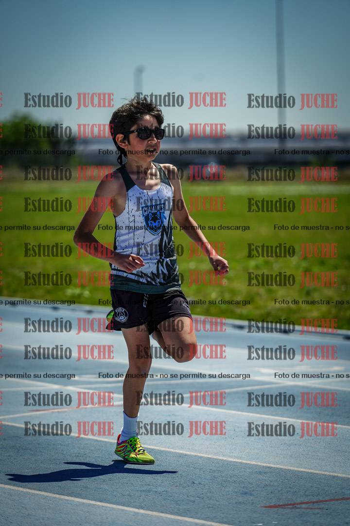 Fotos de los 60 m con vallas de varones