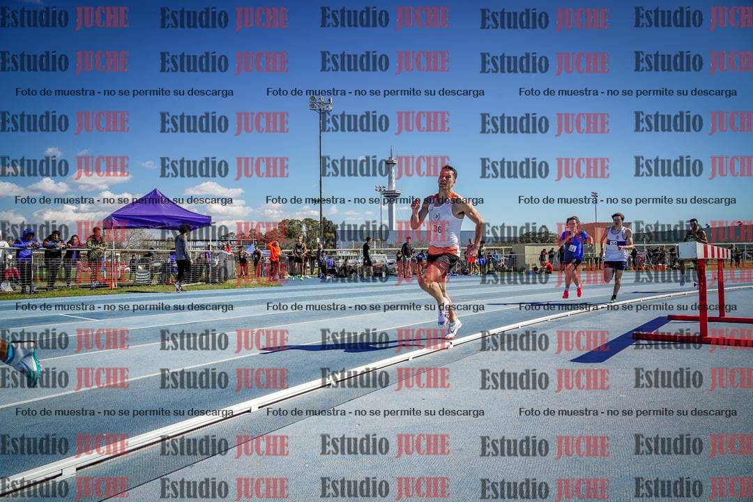 Fotos de los 800 m llanos de varones